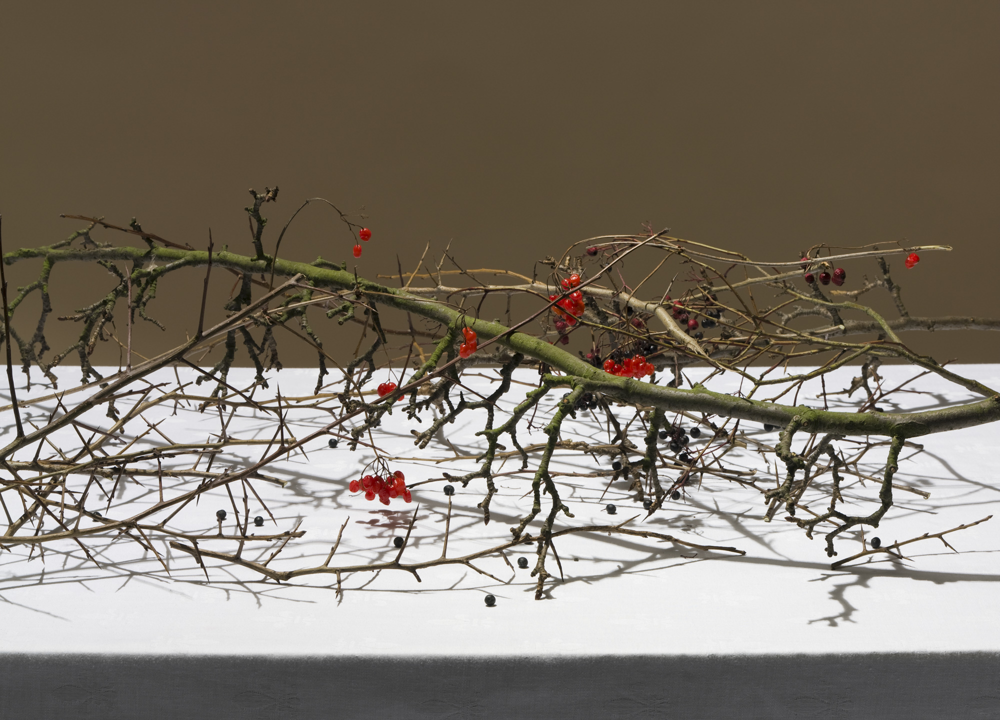 <span class='caption-left'>Sunday Walk</span><span class='caption-right'>2010</span>